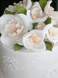 Fiesta & Weddings